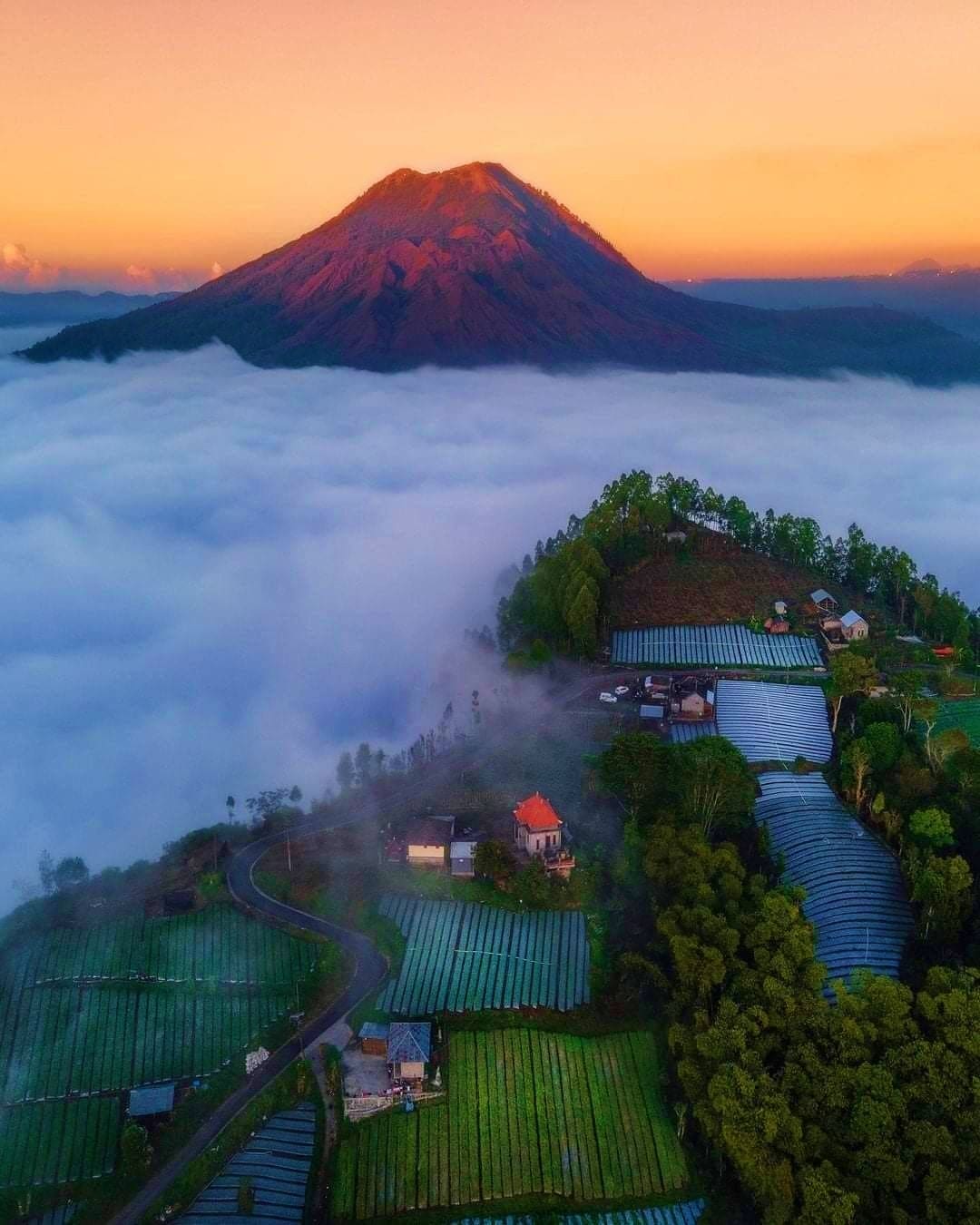 Aerial view of Mount Semeru volcano at sunrise above morning mist with tea plantations and traditional village below in East 